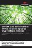 Growth and development of the invasive species Cryptostegia madaga