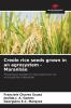 Creole rice seeds grown in an agrosystem - Maranh��o