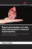 Renal parameters of rats with doxorubicin-induced nephropathy