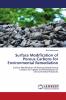 Surface Modification of Porous Carbons for Environmental Remediation