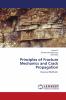 Principles of Fracture Mechanics and Crack Propagation