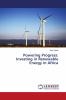 Powering Progress: Investing in Renewable Energy in Africa