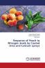 Response of Peach to Nitrogen levels by Coated Urea and Calcium sprays