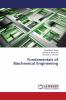Fundamentals of Biochemical Engineering