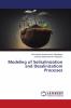 Modeling of Soilsalinization and Desalinizatiom Processes