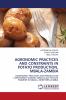 AGRONOMIC PRACTICES AND CONSTRAINTS IN POTATO PRODUCTION MBALA-ZAMBIA