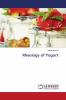 Rheology of Yogurt