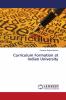 Curriculum Formation at Indian University