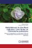 Molybdenum to the Plant Legumes Case Study on Centrosema pubescens