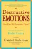 Destructive Emotions