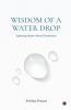 Wisdom of a Water Drop: Exploring Water’s Many Dimensions