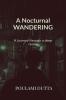 A Nocturnal Wandering: A Journey through a deep ravine
