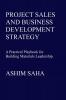 Project Sales and Business Development Strategy: A Practical Playbook for Building Materials Leadership