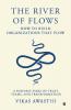 The River of Flows: How to Build Organizations That Flow