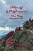 Hills of wildflowers