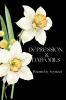 Depression and Daffodils: A Journey Through Darkness into Light