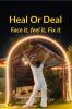 Heal Or Deal: Face it Feel it Fix it: A playbook for life's hardest truth