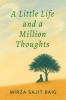 A Little Life And A Million Thoughts