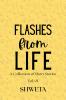 Flashes from Life: Volume 1