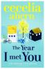 THE YEAR I MET YOU