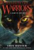 WARRIORS: THE BROKEN CODE #6: A LIGHT IN THE MIST