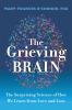 THE GRIEVING BRAIN