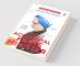 The Accidental Prime Minister