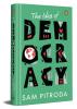 The Idea of Democracy