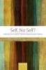 Self No Self?: Perspectives from Analytical Phenomenological and Indian Traditions