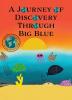 A Journey of Discovery Through Big Blue