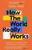 How the World Really Works  by Smil Vaclav