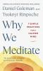 Why We Meditate