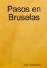 Pasos en Bruselas