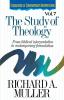 The Study of Theology: From Biblical Interpretation to Contemporary Formulation: 7 (Foundations of Contemporary Interpretation)