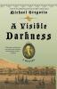 A Visible Darkness: A Mystery: 3 (Hanno Stiffeniis Mysteries 3)