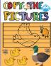 Copy the Pictures: Amazing Activity Book for Kids Copy the Picture for Boys and Girls Great Coloring Gift Book for Birds Lovers