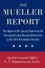 The Mueller Report