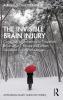 Invisible Brain Injury