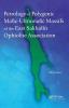 Petrology of Polygenic Mafic-Ultramafic Massifs of the East Sakhalin Ophiolite Association