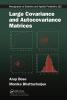 Large Covariance and Autocovariance Matrices