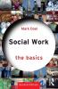 Social Work: The Basics