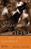 Social World of Jesus and the Gospels