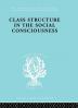 Class Structure in the Social Consciousness