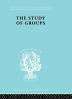 The Study of Groups