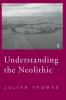 Understanding the Neolithic