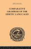 Comparative Grammar of the Semitic Languages