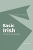 Basic Irish: A Grammar and Workbook