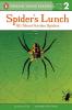 Spider's Lunch: All About Garden Spiders