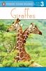 Giraffes