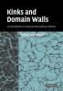 Kinks and Domain Walls: An Introduction to Classical and Quantum Solitons